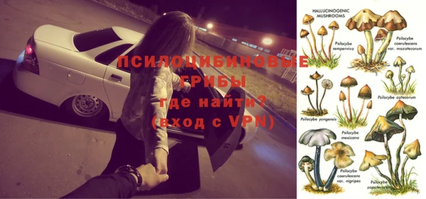 дживик Абинск